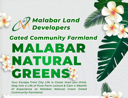 portfolio Spellinfo Technologies